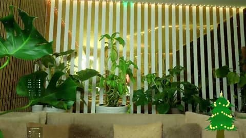 MiaLiaHot XXX Tube | 98min | Jan 8, 2026 09:11