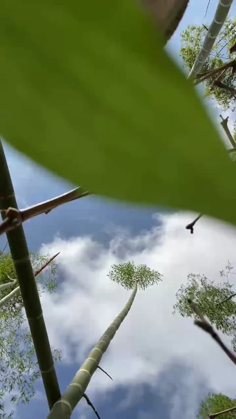 Stailers XXX Tube | 41min | Jan 14, 2026 15:42