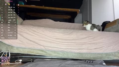 SweetSakuraJane XXX Tube | 83min | Apr 1, 2026 02:33