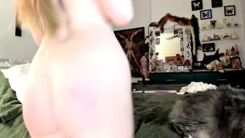 eve003300 XXX Tube | 90min | Feb 21, 2026 04:17