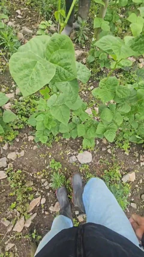 jo23_xxx XXX Tube | 41min | Apr 9, 2026 16:46