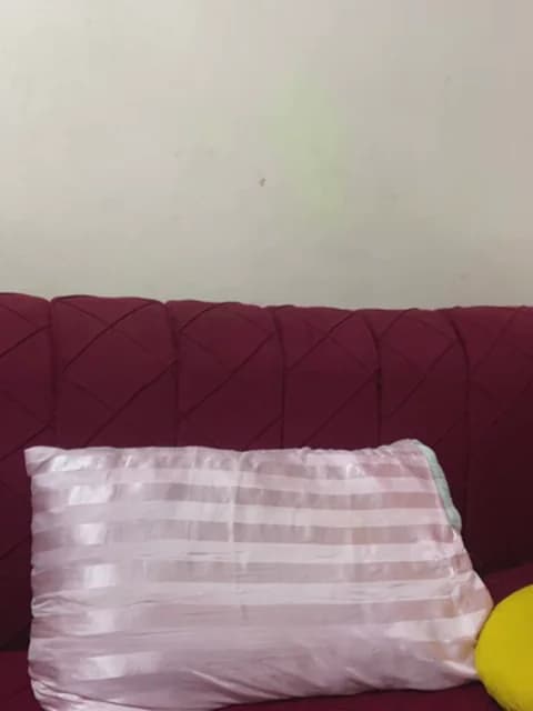 mari_layali XXX Tube | 38min | Apr 2, 2026 02:20