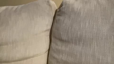 martinabigst XXX Tube | 34min | Jan 16, 2026 16:16