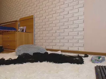 GORIGLAZ BongaCams Model - Cam Recordings